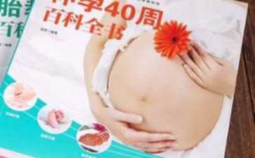 黄体期促排卵泡发育迟缓：助孕治疗与调理全攻略